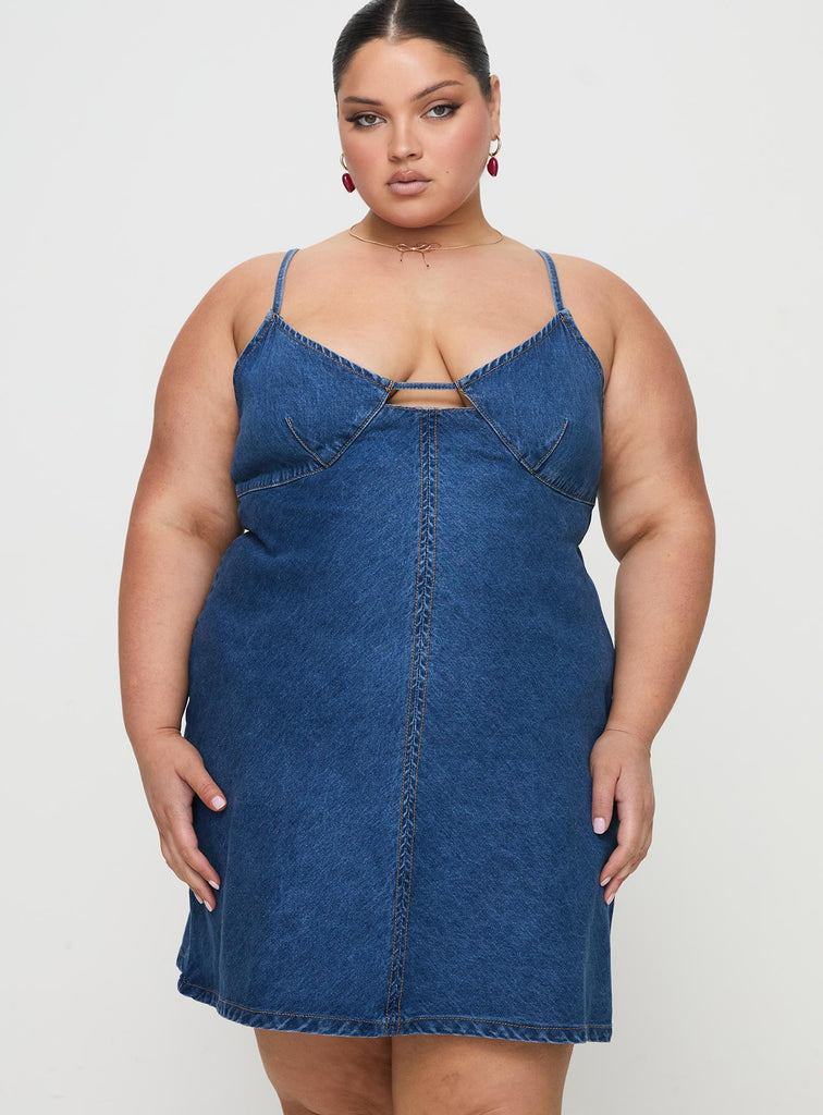 Arwen Denim Mini Dress Tiger