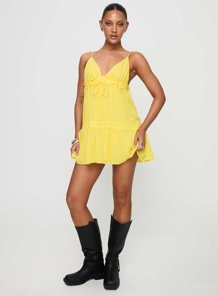 Pink Embroidered Bodice Mini Dress - Dionne