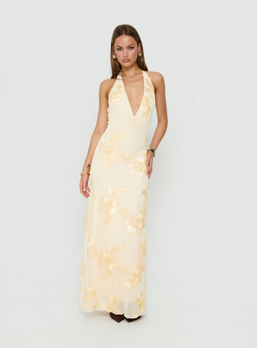 Mesh Dresses