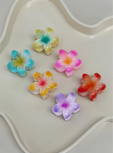 Young Forever Hair Clip Pack Multi