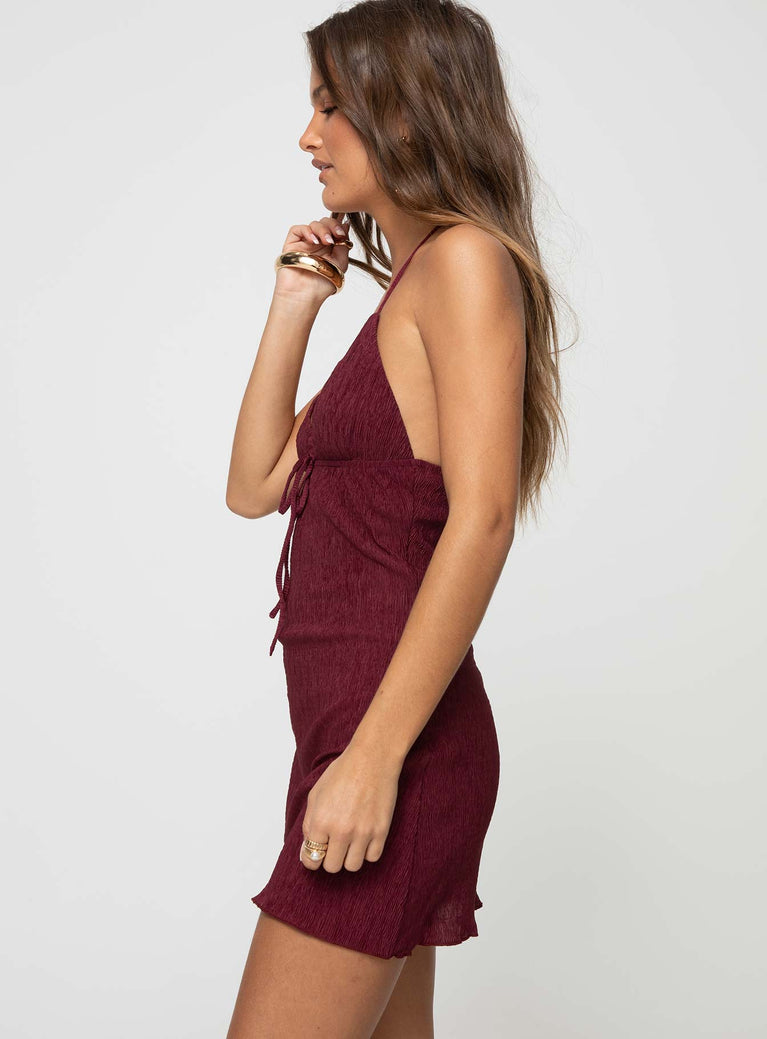 Chantria Mini Dress Burgundy Lower Impact | Princess Polly USA