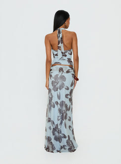 back view of model wearing Princess Polly Roselin Mesh Maxi Skirt Blue Floral 