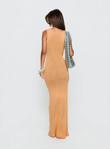 Orange Maxi Dresses | Princess Polly