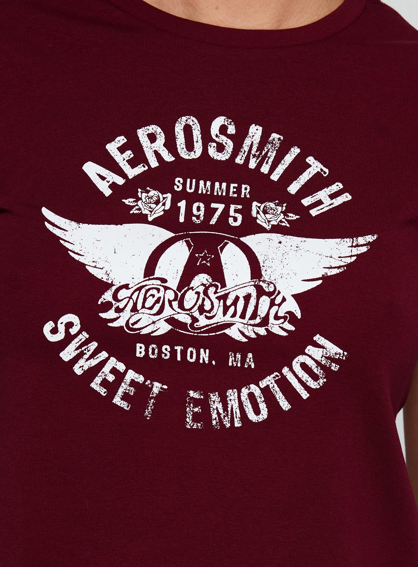 product Princess Polly Aerosmith Vintage Graphic Top Burgundy Short Sleeves Crew Neck 