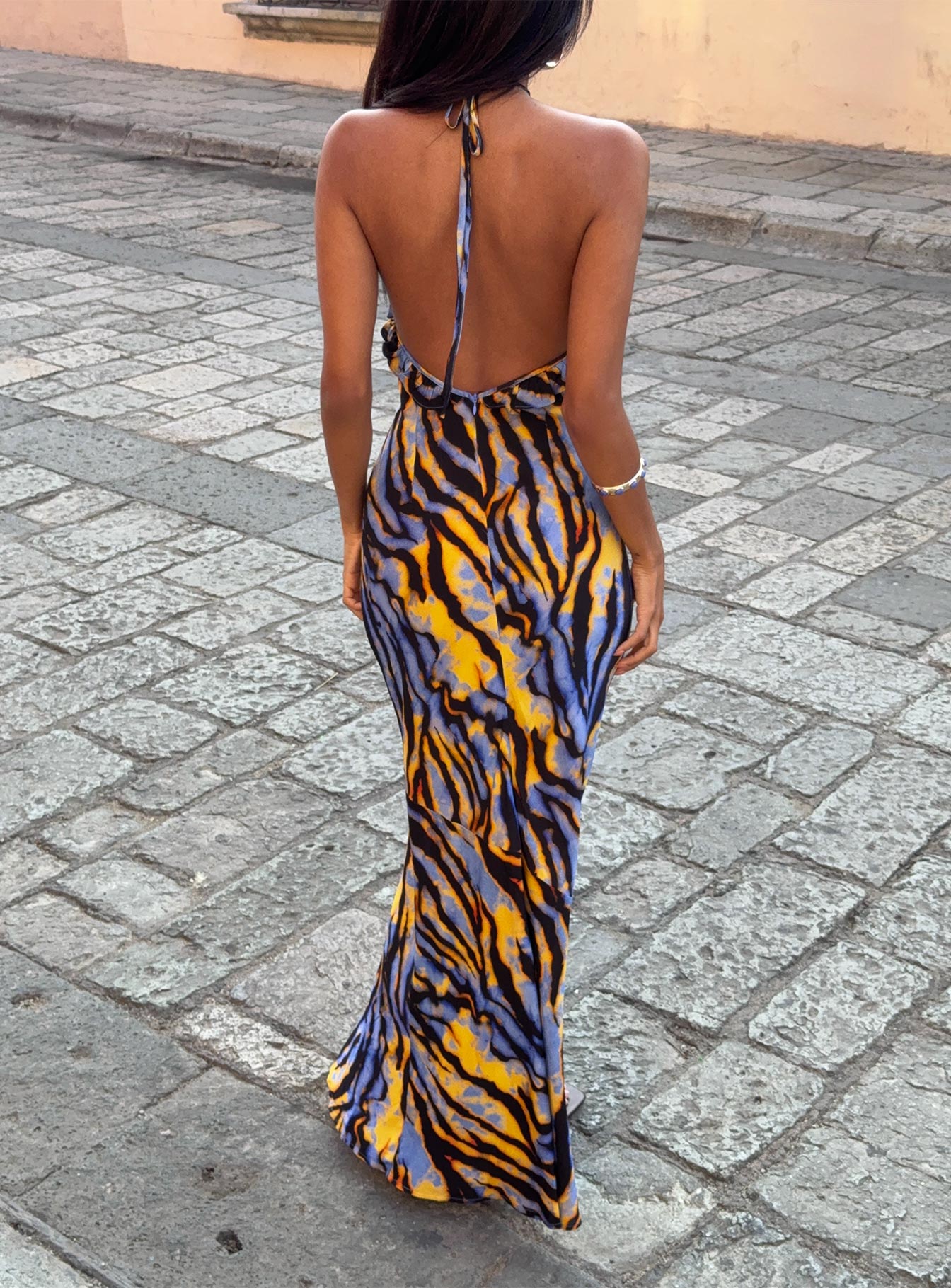 Virginia Beach Backless Maxi Dress Blue Zebra Princess Polly