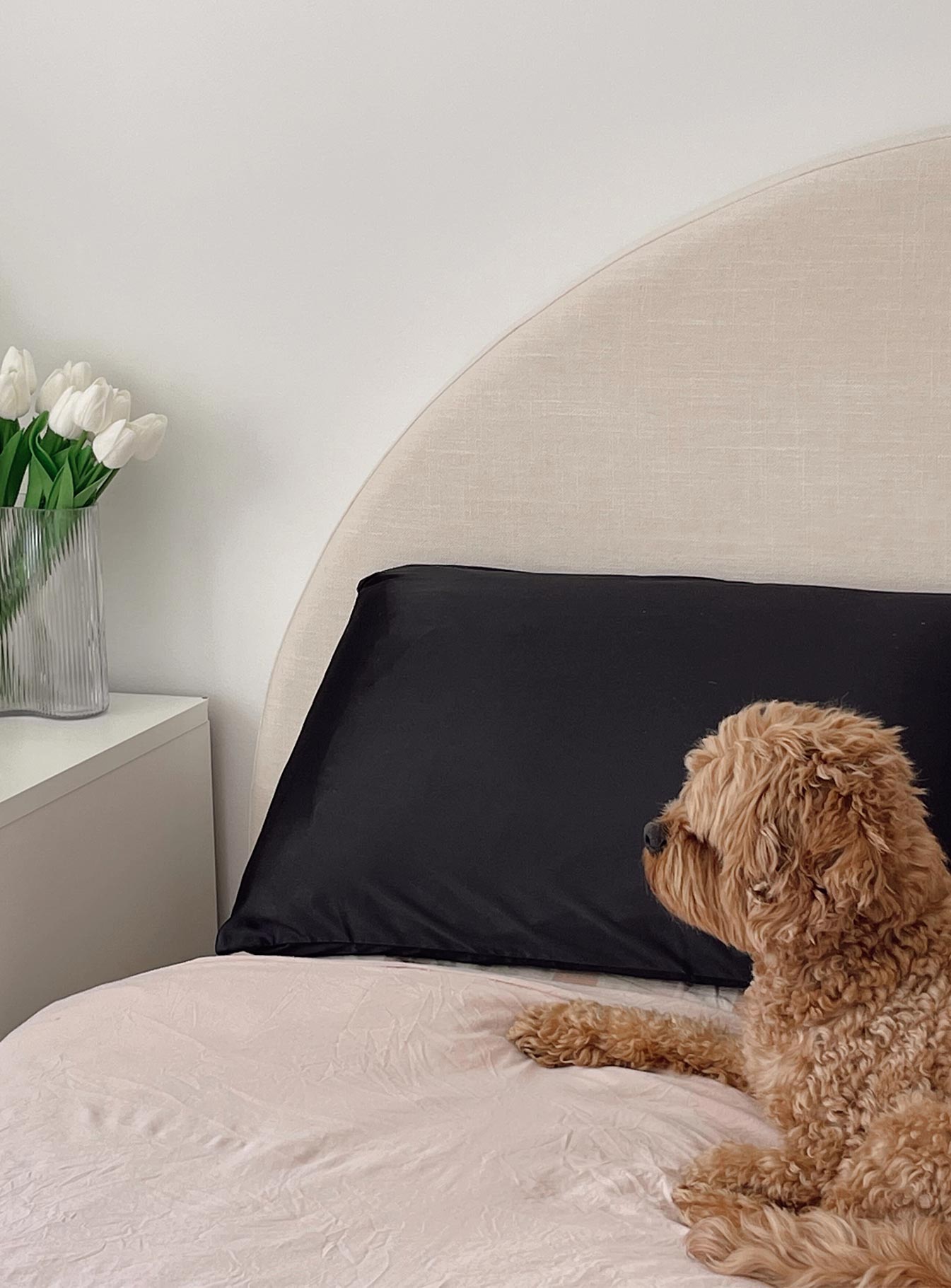 Pillowcase set Silky material Two pillowcases 