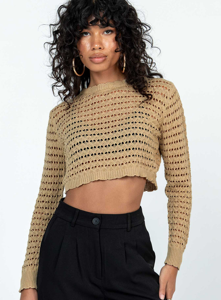 Terra Knit Sweater Beige Princess Polly  Cropped 