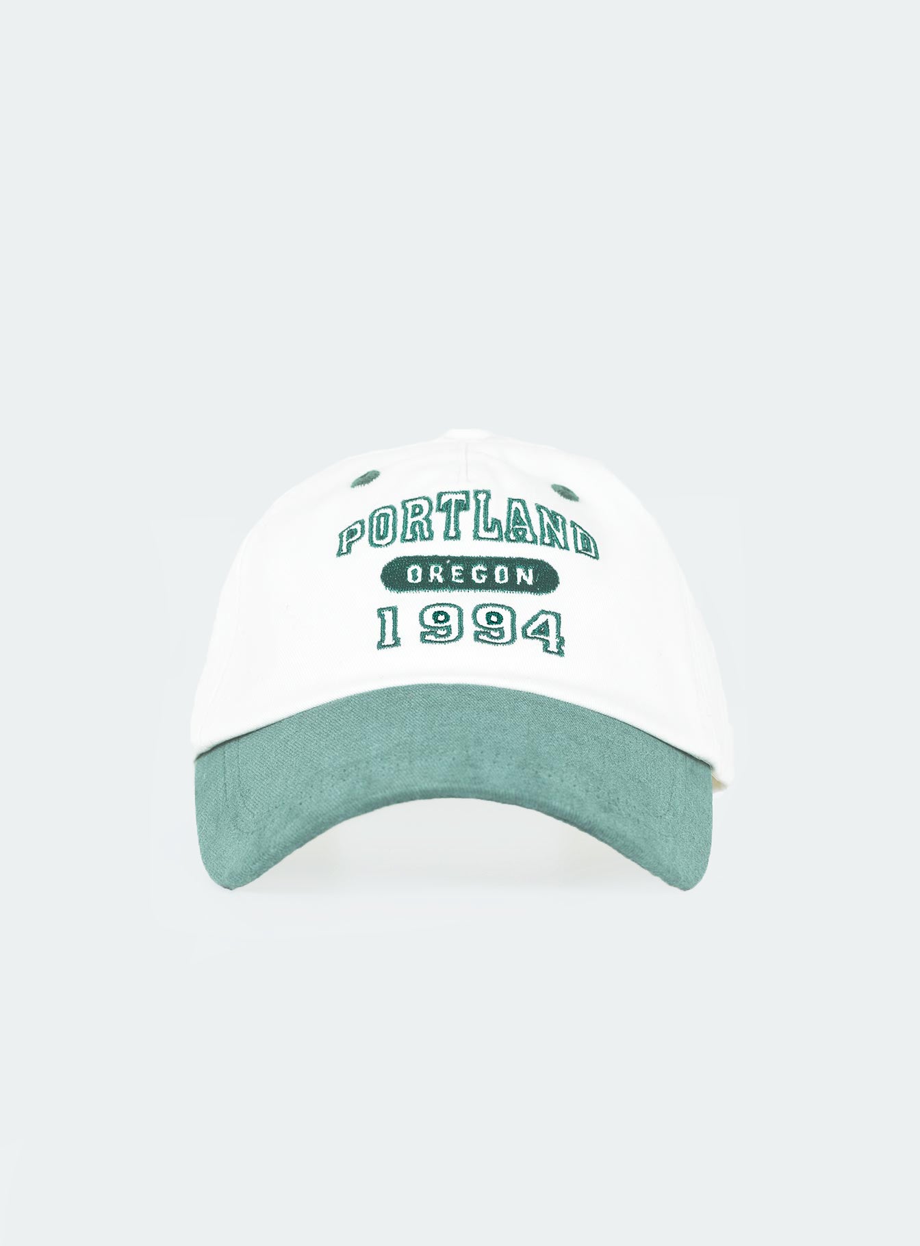 Cap Embroidered graphic Adjustable strap at back OSFM