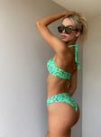 Taylor Bikini Bottoms Green Multi