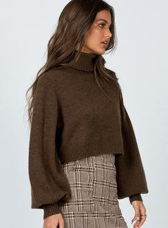 back view of model wearing Princess Polly Zahara Cropped Turtleneck Sweater Brown Cropped 