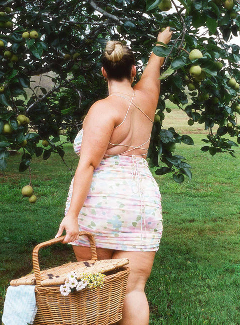 back view of model wearing Princess Polly Hopeless Romantic Mesh Ruched Mini Dress Multi Curve 